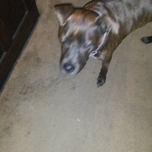 Meet your Posher, Mae